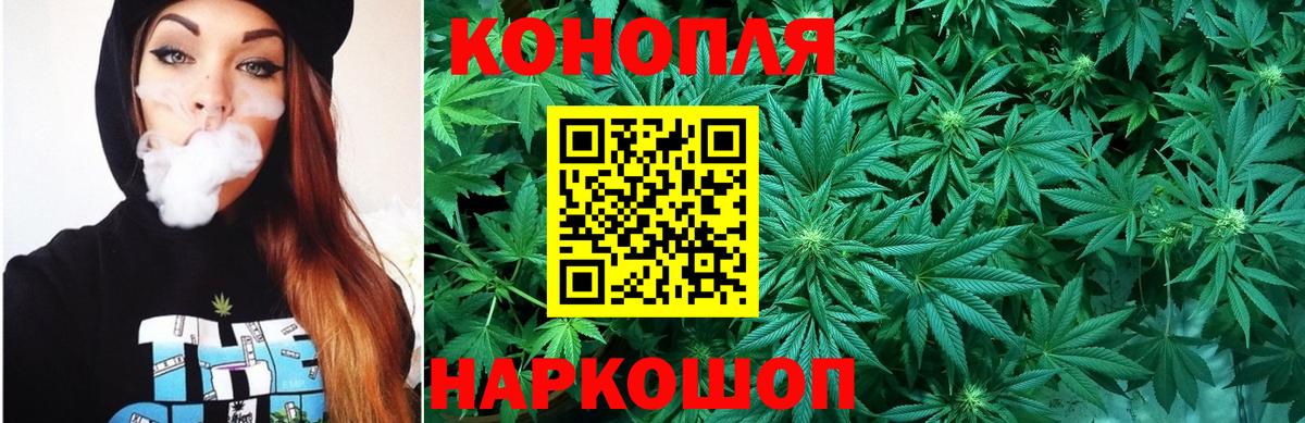 Канабис сатива Отрадное